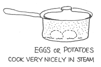 steam cooking
                    eggs