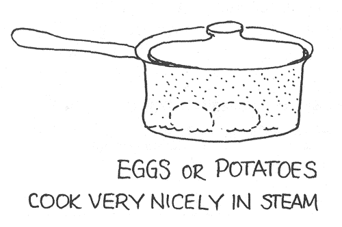 eggs cooking in steam