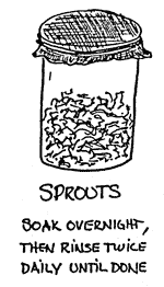 sprouts