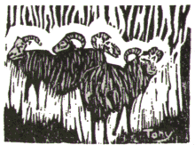 Får
