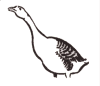 Gås