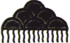 Ekologi