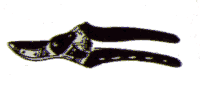 Sekatör